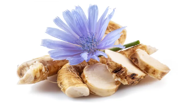 Chicory Root Inulin – EmmaRelef prebiotic fiber ingredient