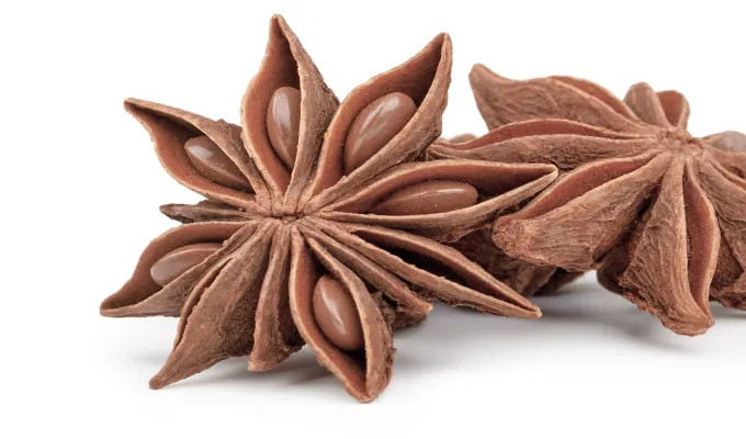 Star Anise – EmmaRelef natural digestive relief ingredient